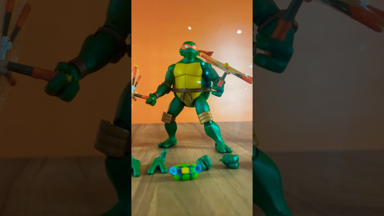 TURTLES COUNT IT OFF! 