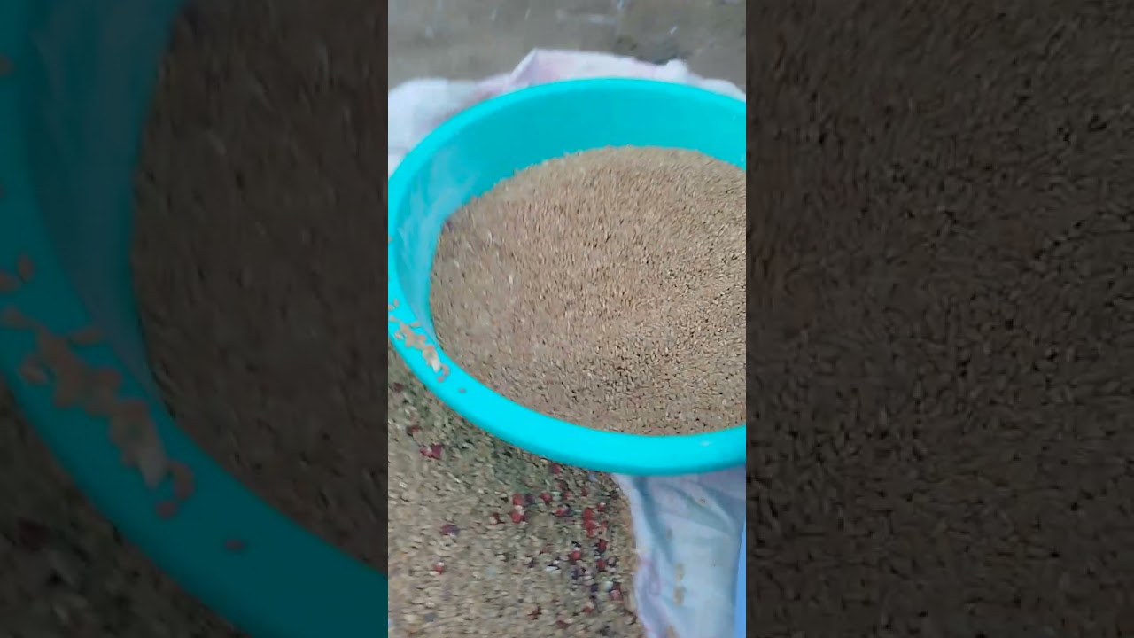 كلفتك حمامك عندي اسعار لاتقبل المنافسة 