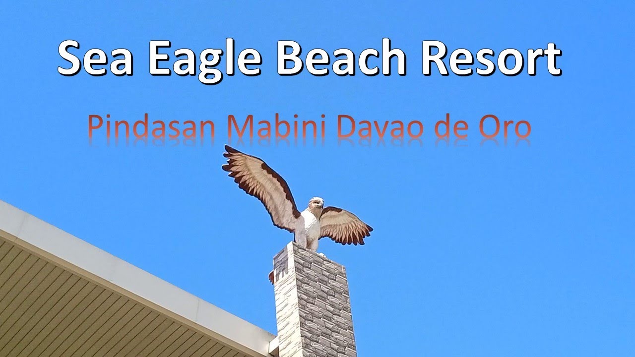 Sarap Mag-Overnight Dito sa Sea Eagle Beach Resort