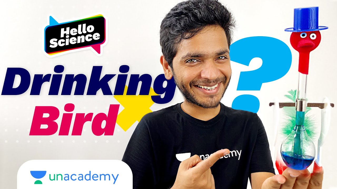Heat Engine | Thermodynamics | Science of Drinking Bird | Hello Science | Vikrant Kirar