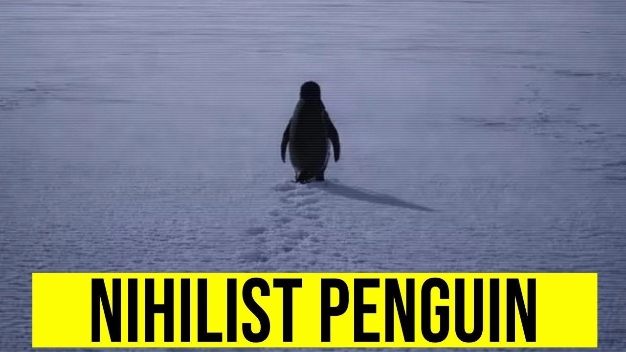 Apa Maksud Sebenarnya Dari Nihilist Penguin?