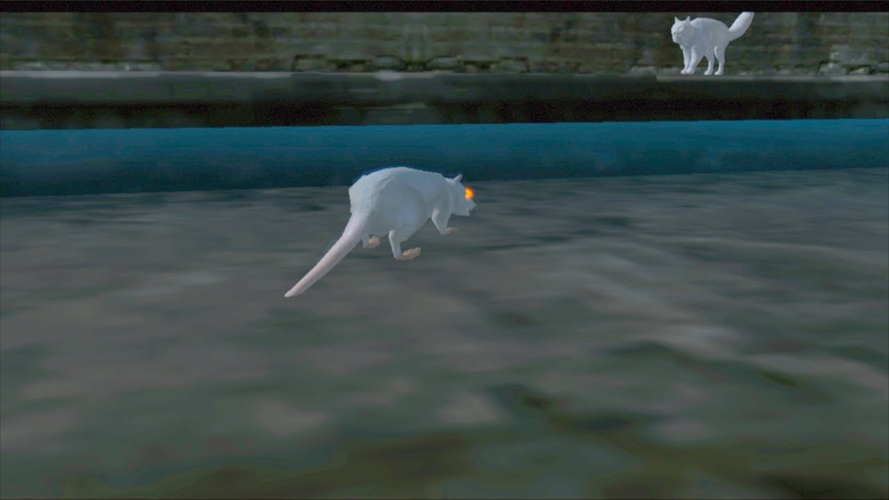 🐈Furious Cat VS 🐀Angry Rat, Boss Fight, Ultimate Cat Simulator