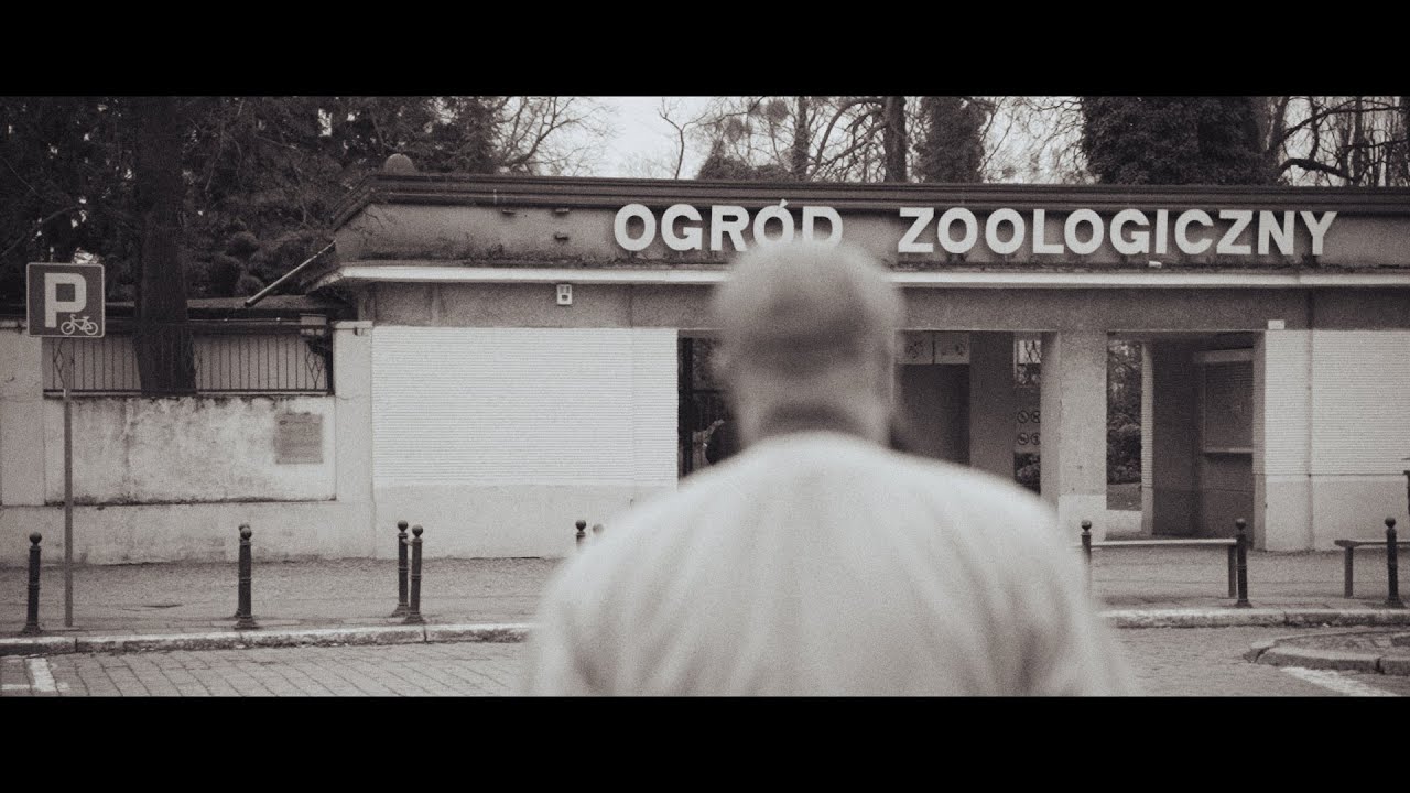 AprAxjA _ Bezdroża (Official Video)