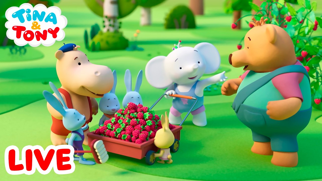 🔴 EN DIRECT ! | Nouvelle saison | Dessins animés amusants pour les enfants