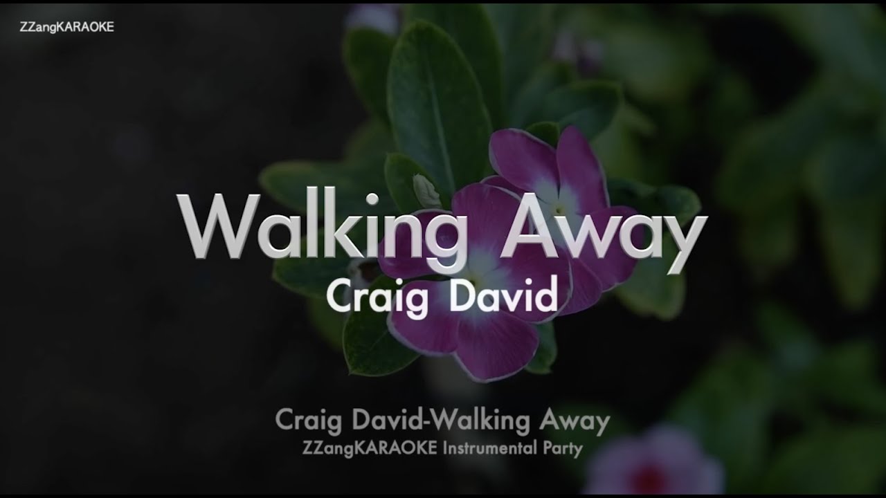 Craig David - Walking Away (Instrumental) (Karaoke Version)