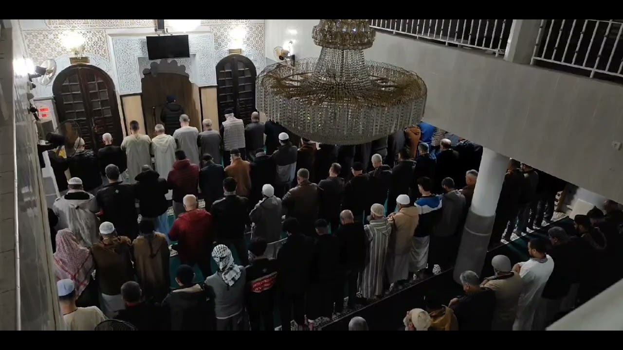 صلاة الصبح | من سورة القصص | برواية قالون عن نافع | مسجد 🕌 عمر بن عبد العزيز أولاديعيش البليدة 