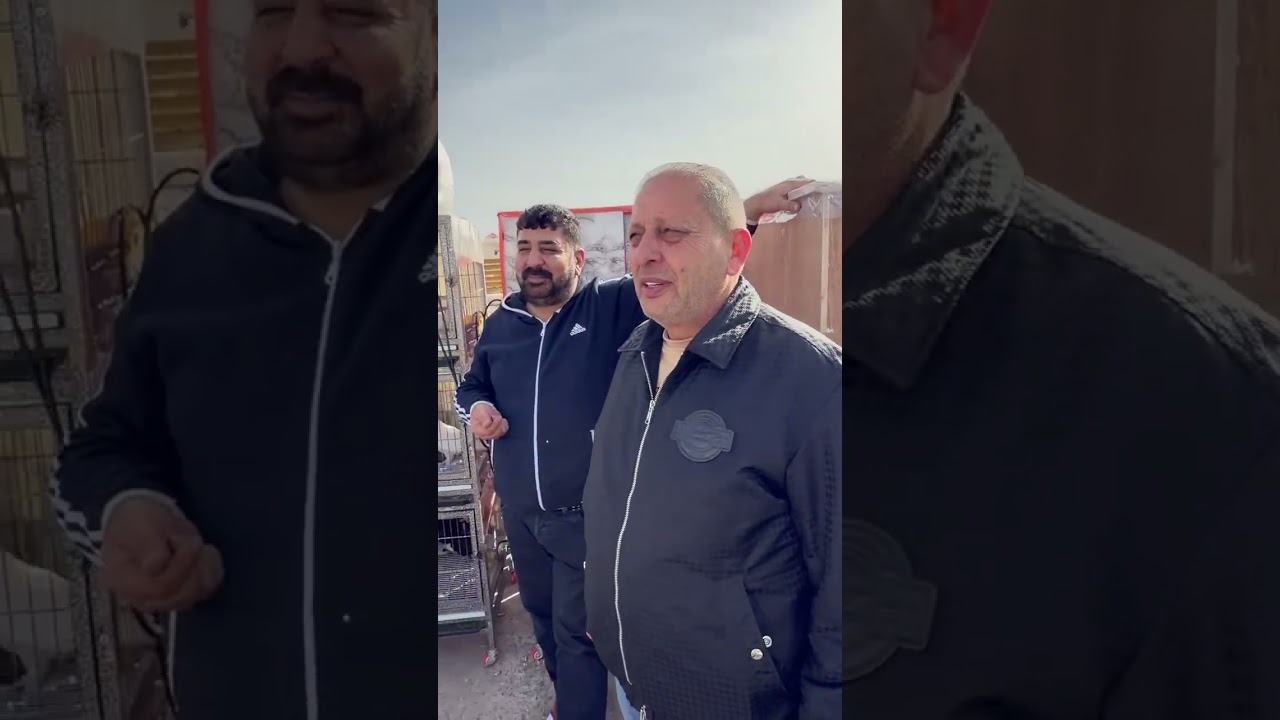 ‏كشينا 50 طير جداد ضيعنا 12 أكلنا هوا بحضور شباب فلسطين الغوالي الشيخ مراد ابو حسين مجنون الجزء ‏13‏