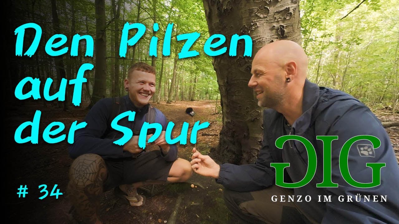 Giftig oder lecker? Pilz-Check mit einem Pilzsachverständigen! 😱🌲