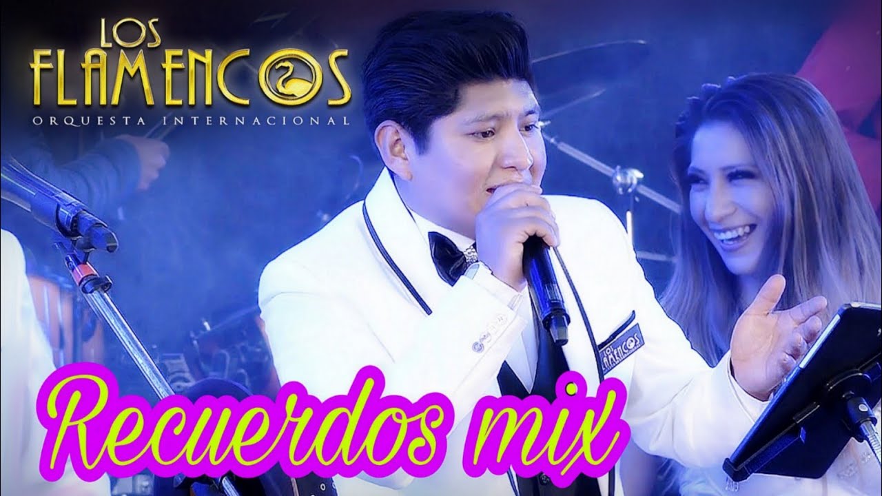 LOS FLAMENCOS - MIX GABIOTA EN VIVO