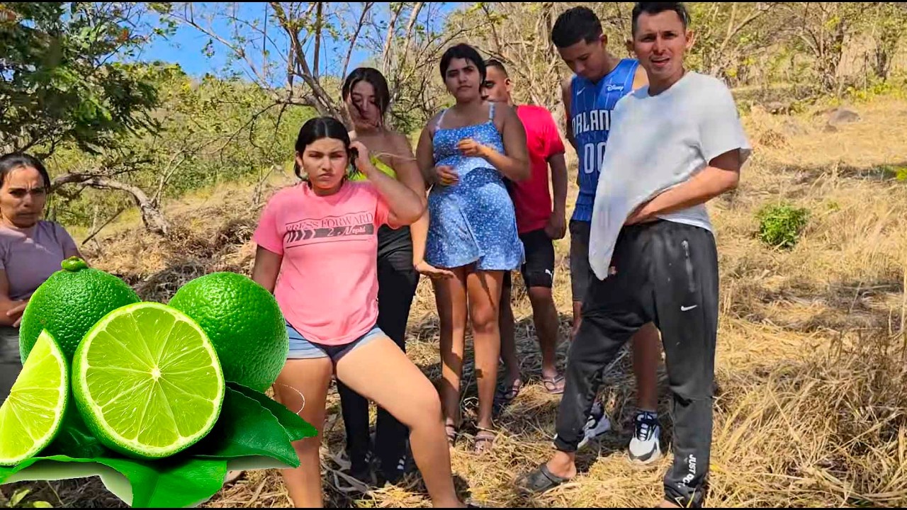 Nos fuimos a buscar limones en los terrenos  de Fátima.