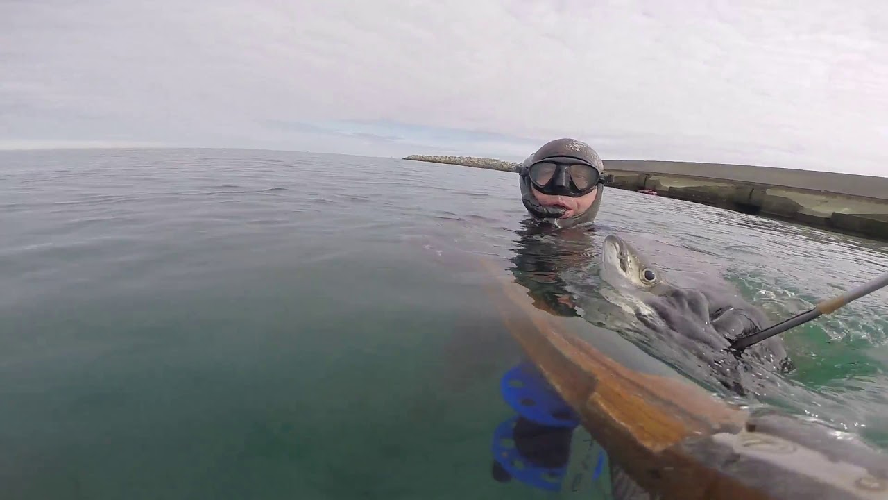Hanstholm spearfishing