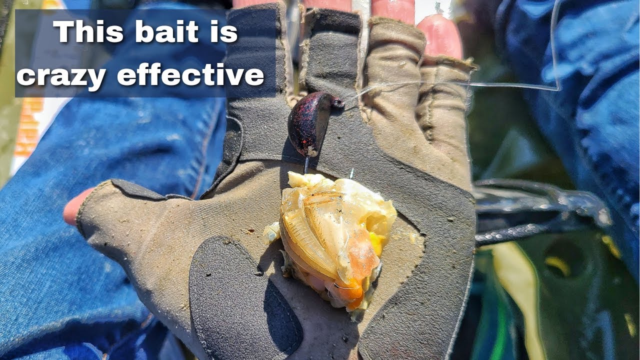 Fishing Blue Crab Under Docks For Big, Hard Fighting Redfish!