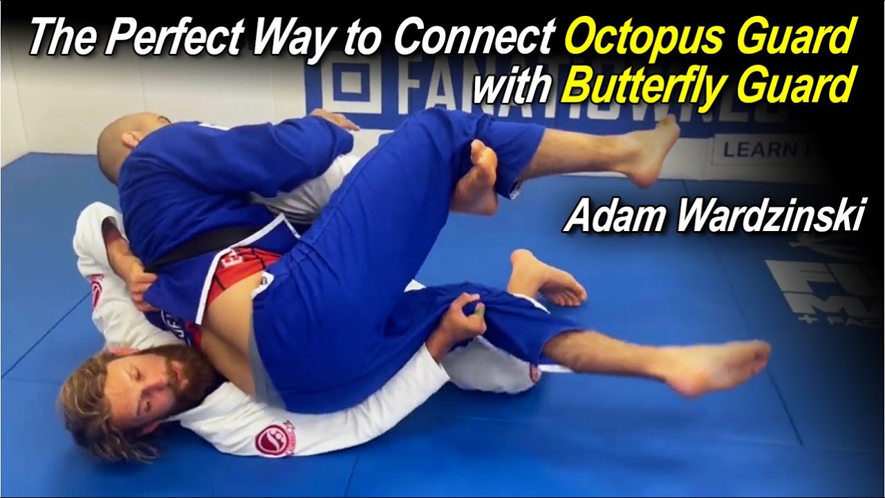 Идеальный способ соединения Octopus Guard с Butterfly Guard с Адамом Вардзински