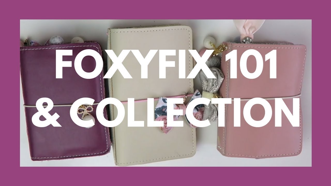 FOXYFIX 101 // Intro, Size Comparison, and My Foxyfix Collection!