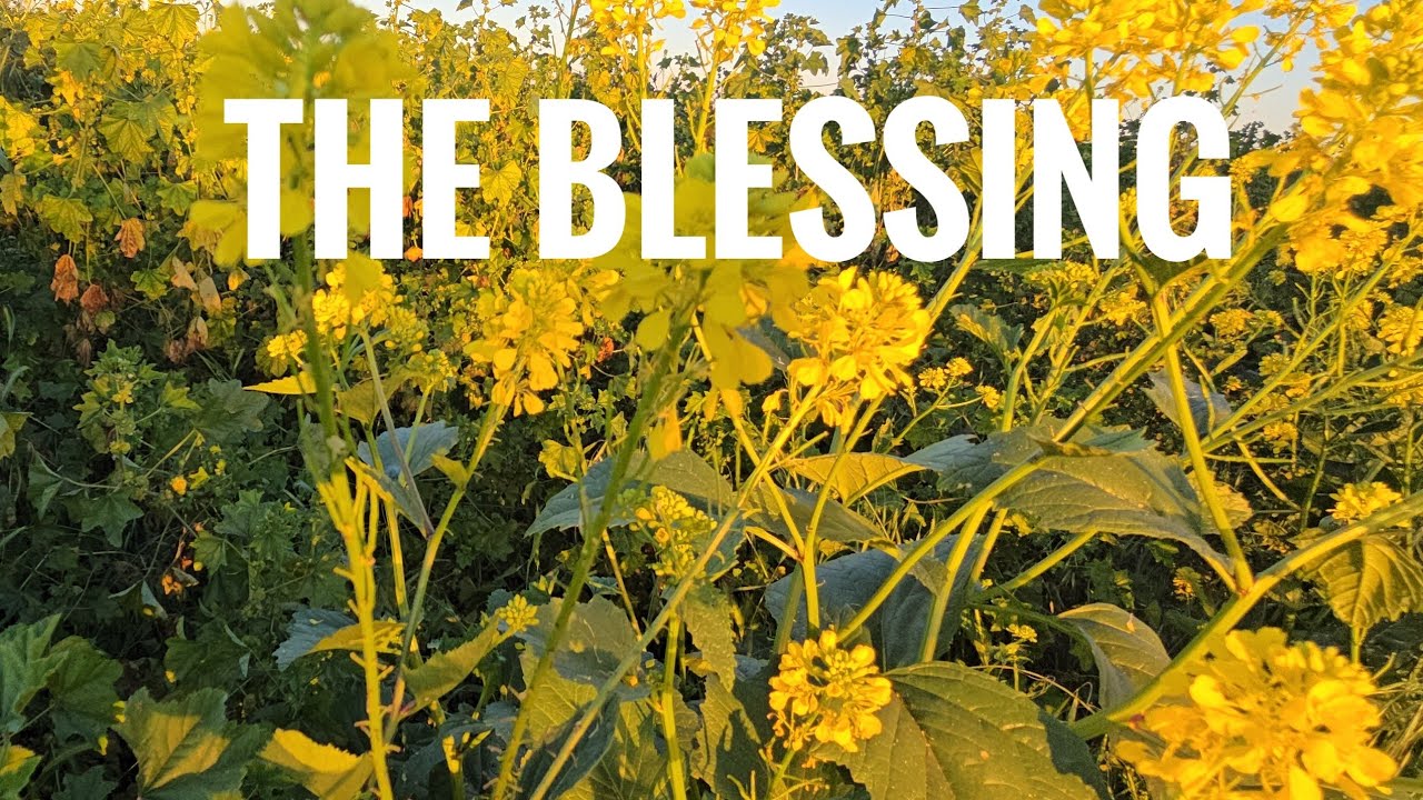 The Blessing of this day, and sharing it. 726