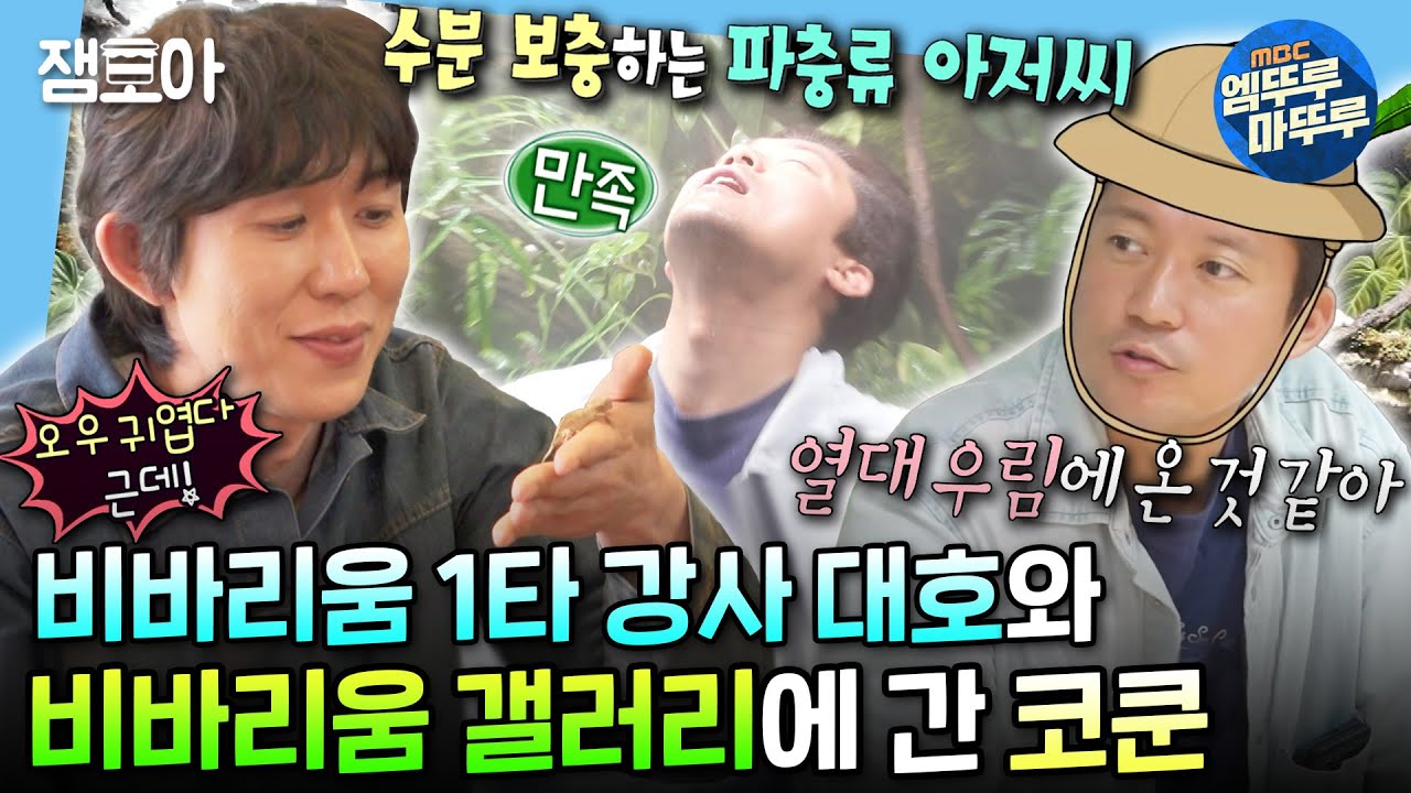 [#나혼자산다] '여기가 내 집이야'😎 비바리움학과 대호 교수님의 단골 갤러리에 방문한 코쿤🌿 | #김대호 #코드쿤스트 MBC240419방송