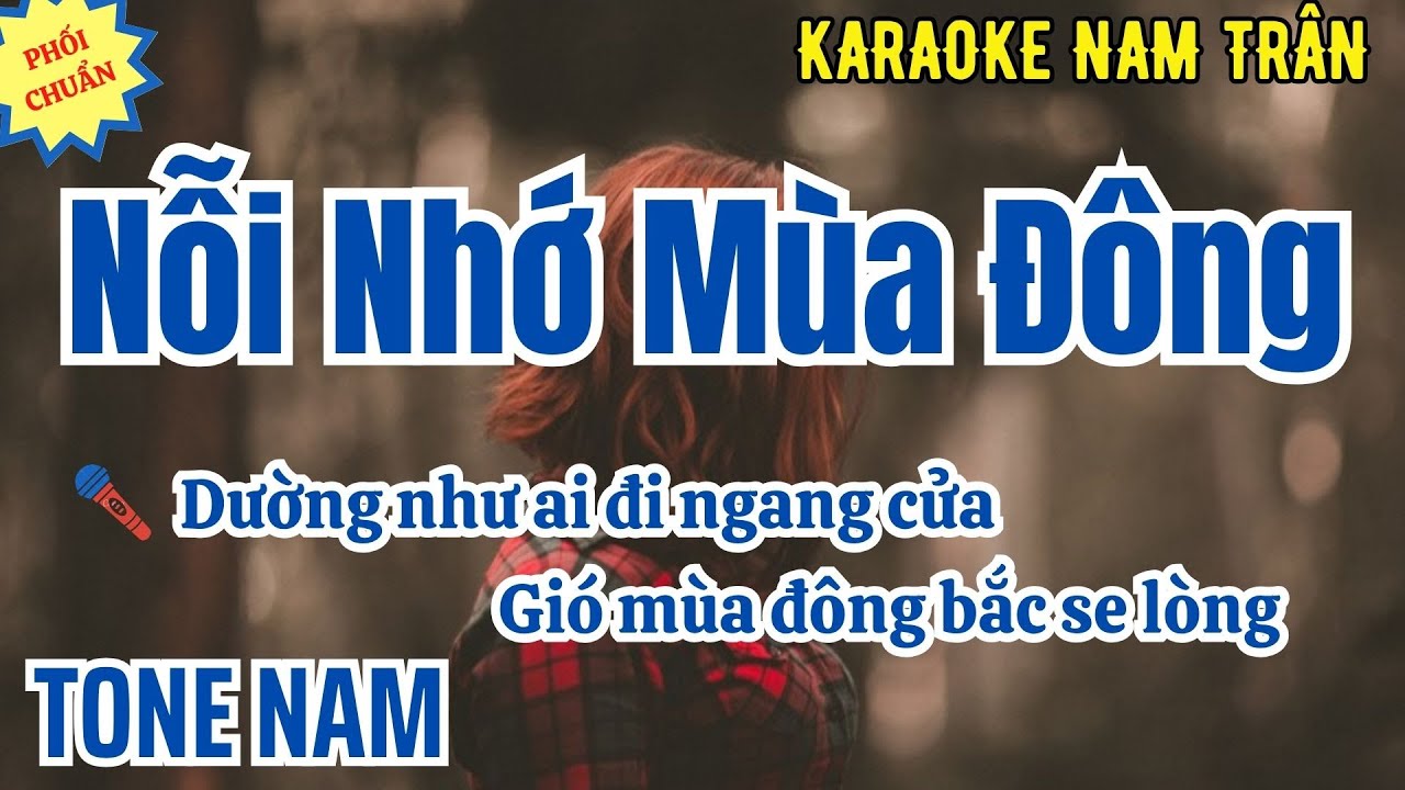 Karaoke Nỗi Nhớ Mùa Đông Tone Nam | Nam Trân