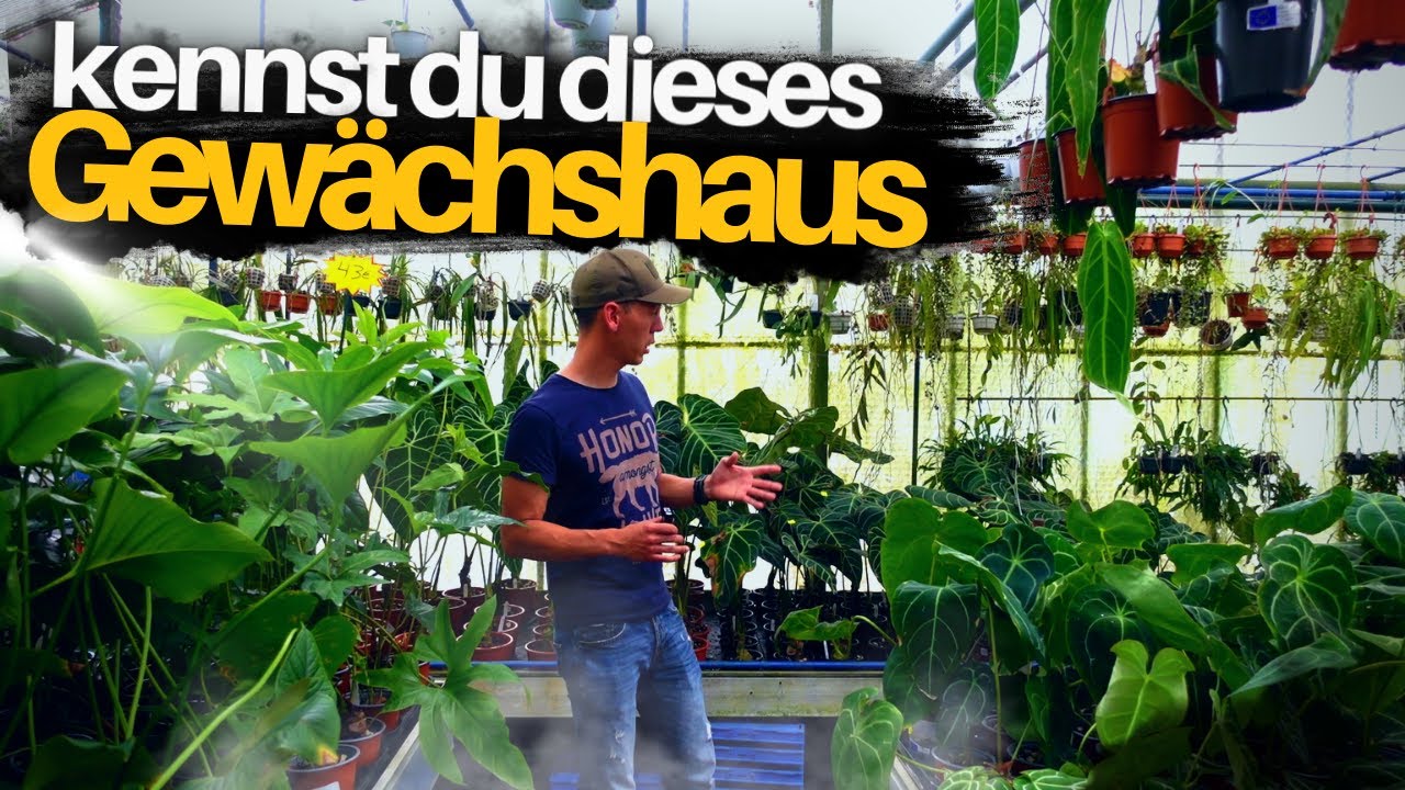 Exotische und SELTENE Zimmerpflanzen - Gartencenter shop with me ... not