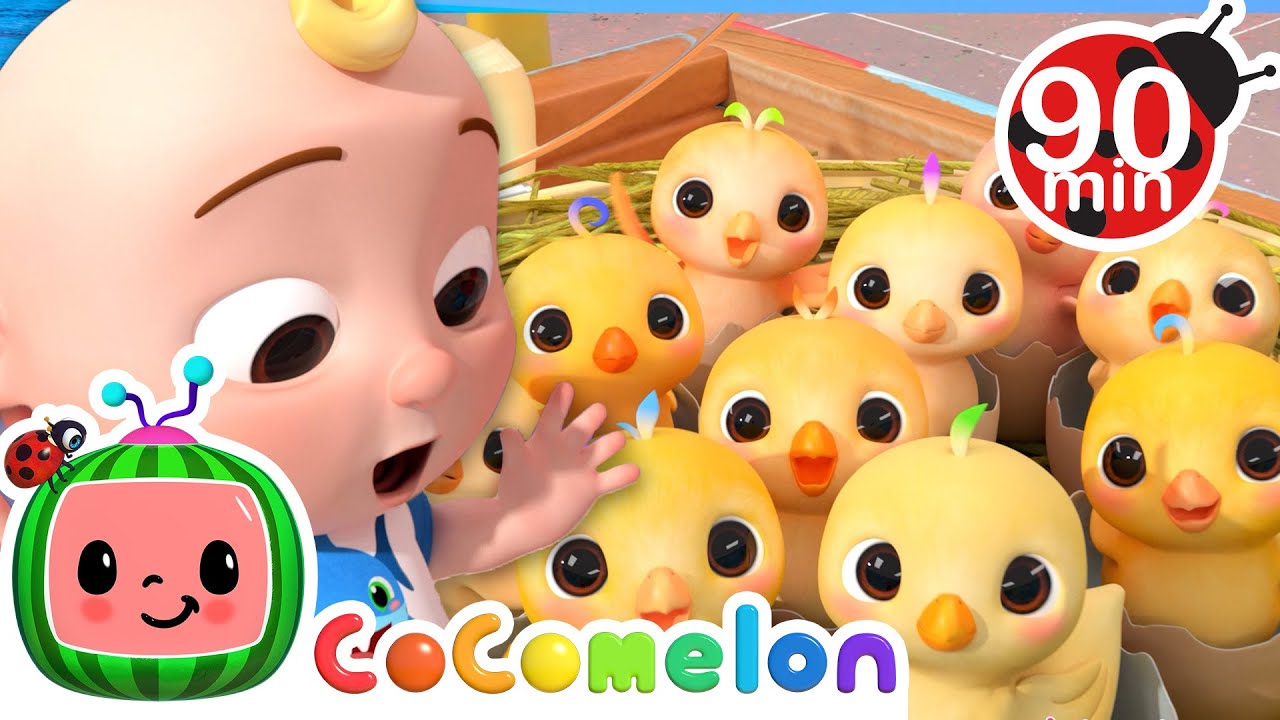 Learn Numbers with Cute Chickens  | Animals for Kids | Animal Cartoons | Funny @CoComelon Cartoons