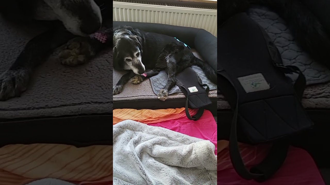 Kurzer Tagesbericht von Dona 2.3.26