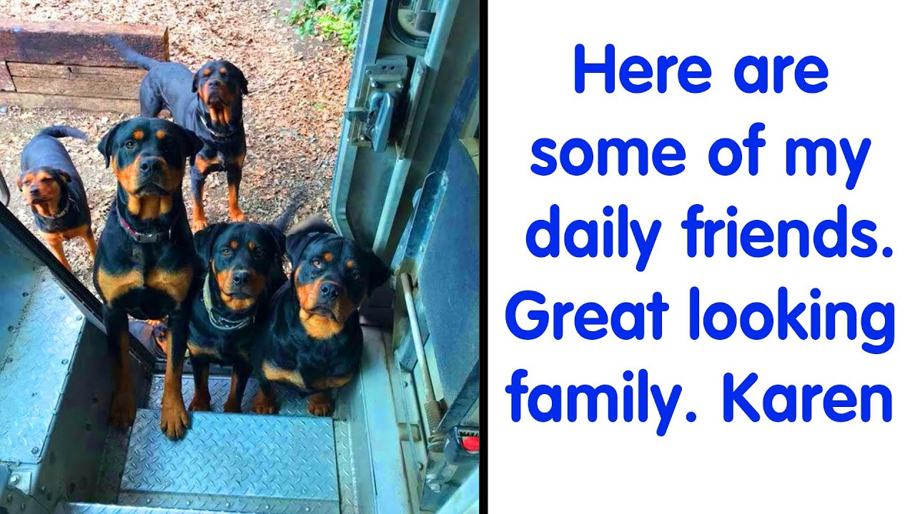 UPS Driver Captures The Cutest &lsquo;Clients&rsquo; He Meets On Routes, And People Can&rsquo;t Get Enough - funny dog