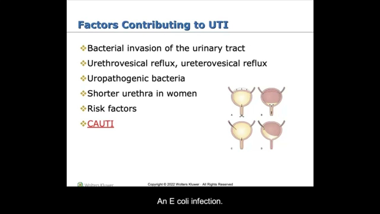 Renal Lecture Part 1 Section 2 CARE OF THE CLIENT WITH INFECTIOUS, INFLAMMATORY, & IMMUNOLOGIC DISOR