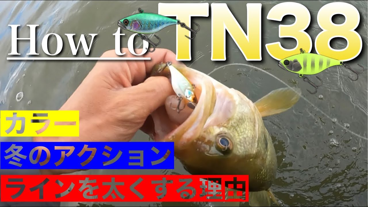 【根掛かり軽減!?】冬に良い思いをするためのセッティングとアクション。【水の旅＃ １８３】