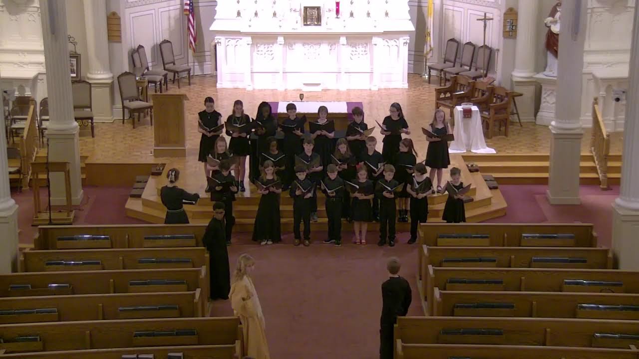 Live Sunday Mass I St. Mary, Delaware, OH