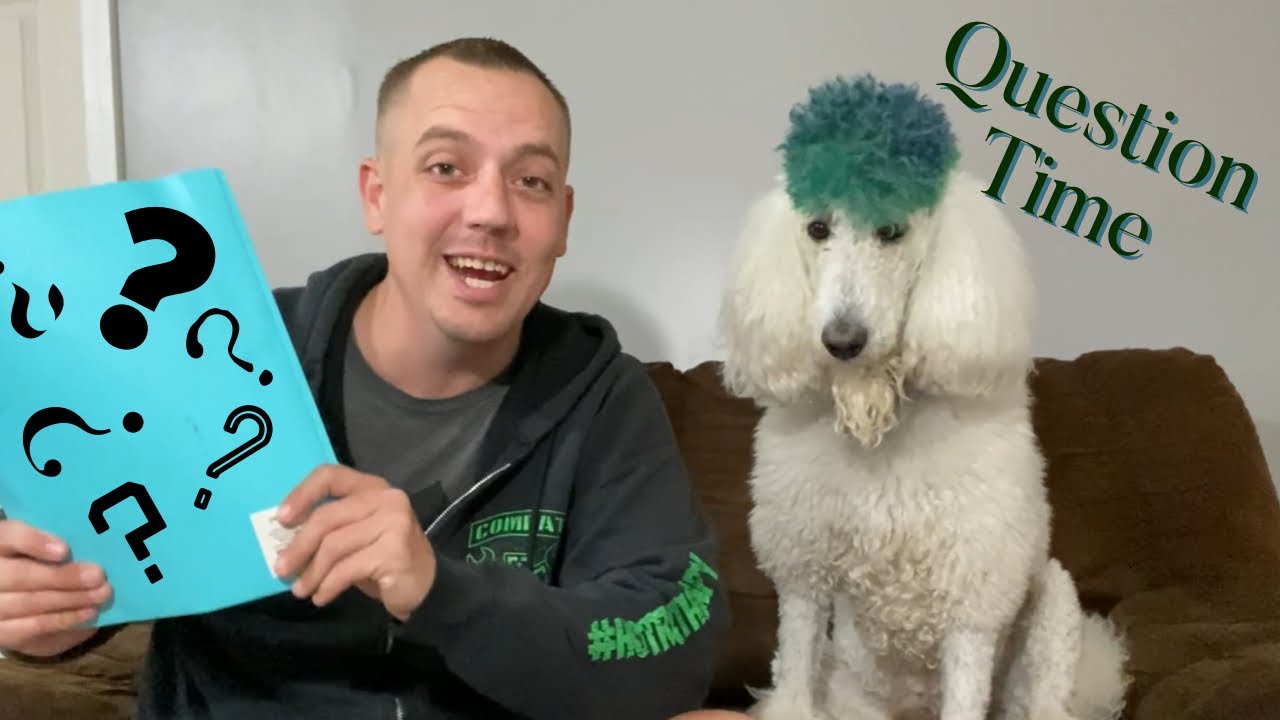 Poodle Service Dog Q&A