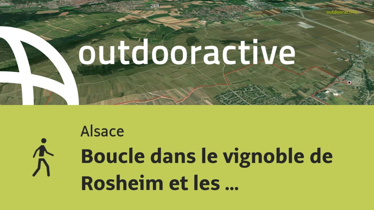 Boucle dans le vignoble de Rosheim et les pelouses s&egrave;ches de Rosenwiller