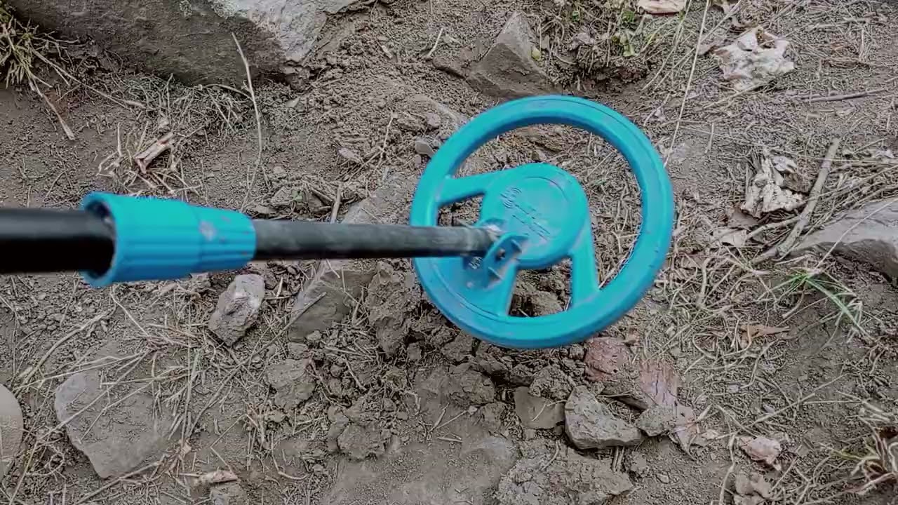 Treasure hunting with metal detector