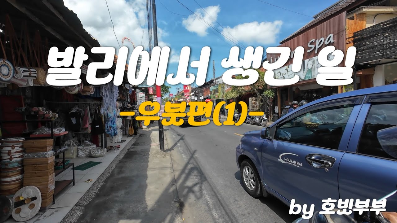 발리 자유여행 우붓편(1) ㅣ 우붓 시장·왕궁·카페까지, 임산부 태교여행 브이로그(2일차)