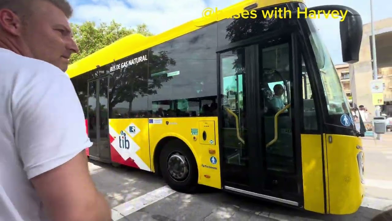 Buses at Alcúdia/Palma