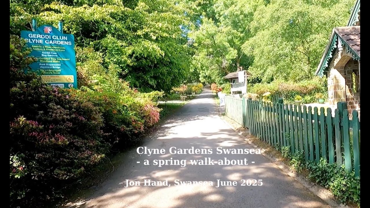 A spring walkabout of Clyne Gardens Swansea Wales