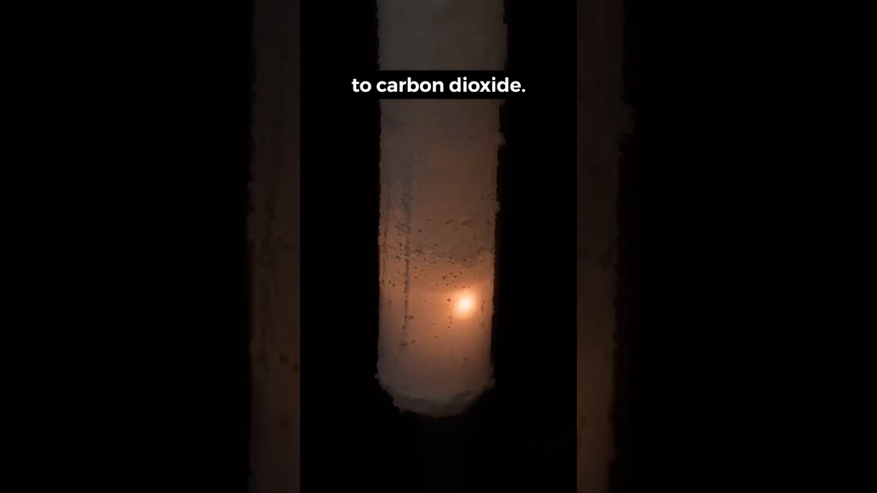 Remarkable Chemistry: Burning a Diamond?! 💎🧪