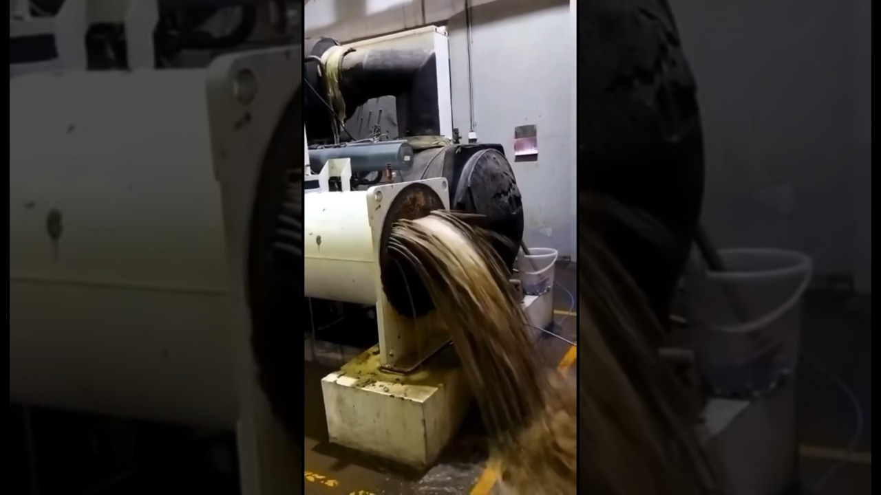 Condenser coil after chemical descaling,Flushing water cooled chiller 30xw #carrier#chiller#hvac