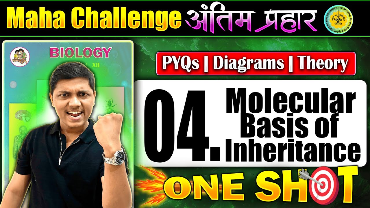 Complete 4 Molecular Basis of inheritance #अंतिमप्रहार  | PYQs-Diagrams-Theory #hscboards