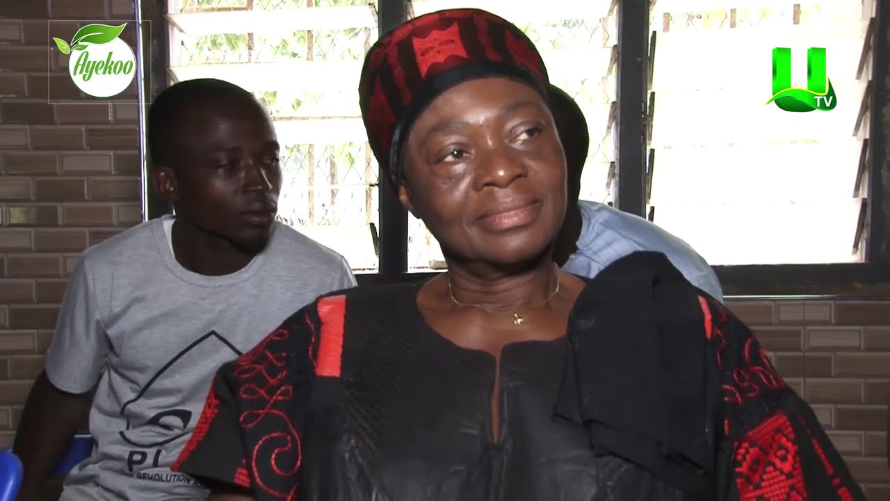 AYEKOO: PLANTING COCOA UNDER CASHEW  BONO FARMERS SHARE THEIR EXPERIENCES