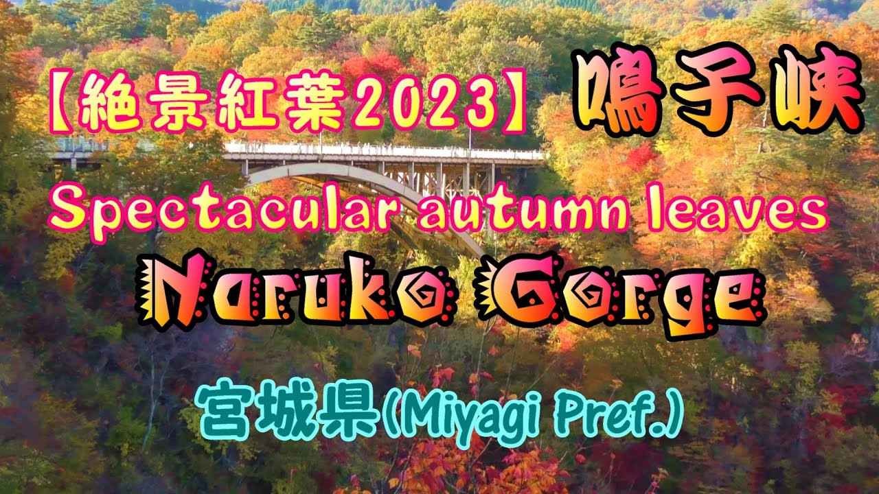 4K【絶景紅葉2023】鳴子峡（宮城県） [Spectacular autumn leaves] Naruko Gorge