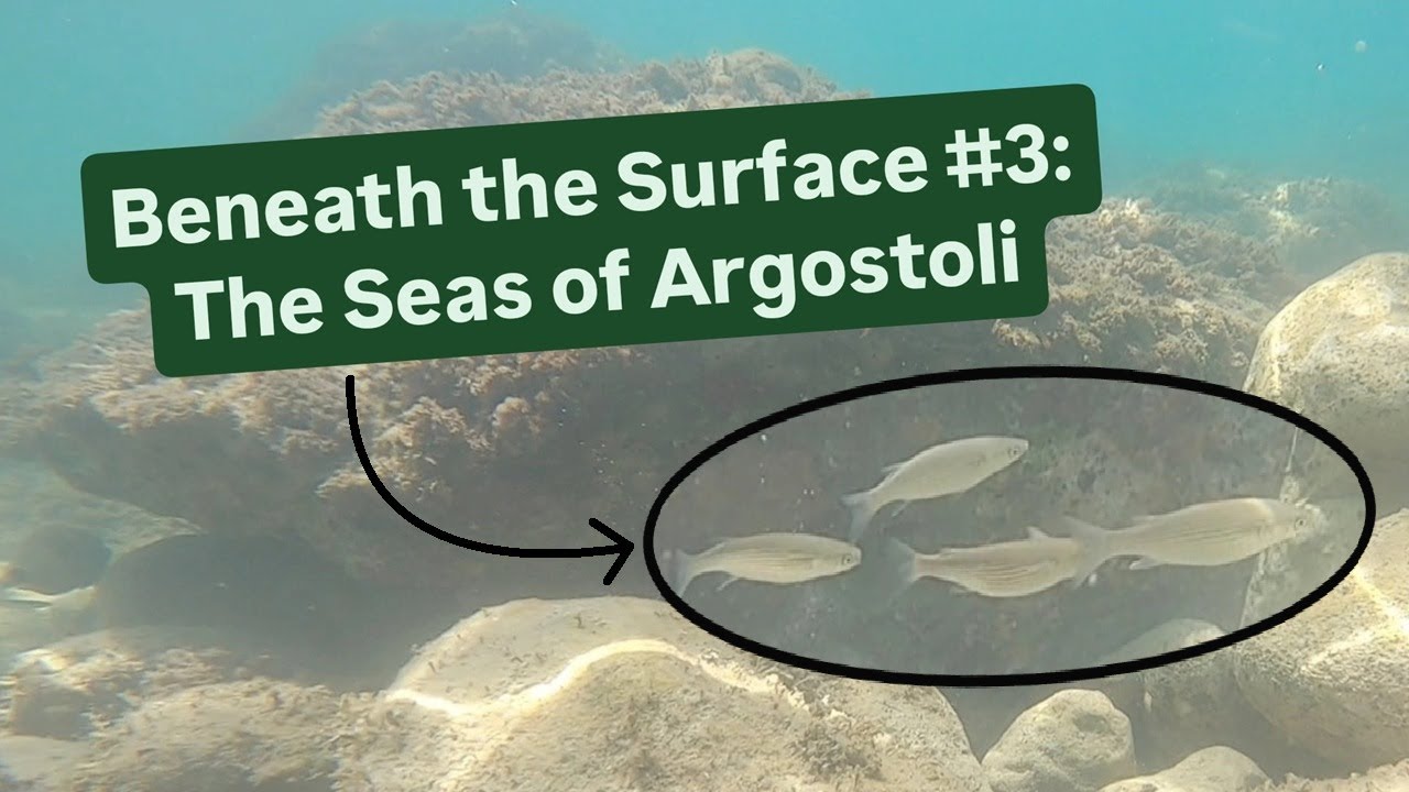 Beneath the Surface Episode 3: The Seas of Argostoli