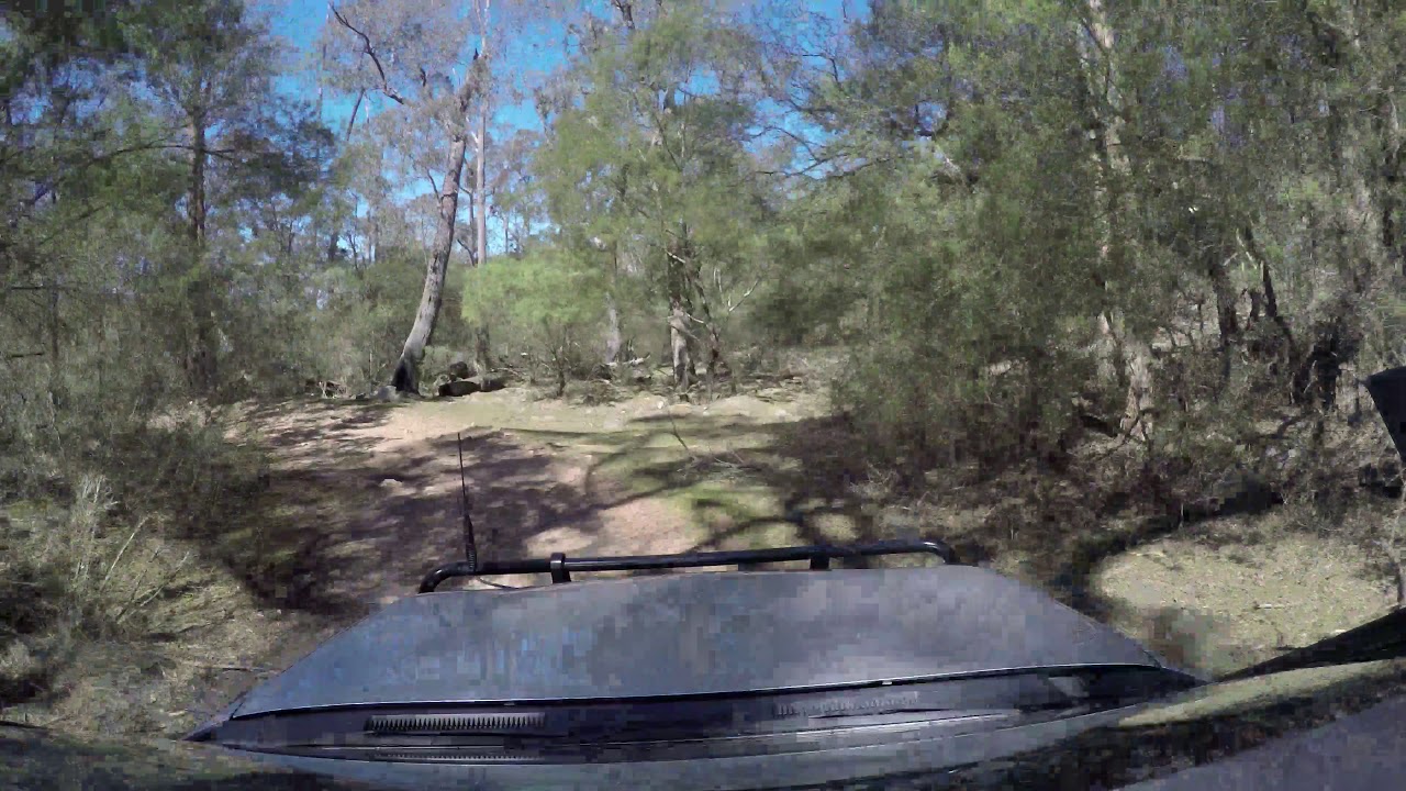 Angusvale Track - Mitchell River NP - Victoria