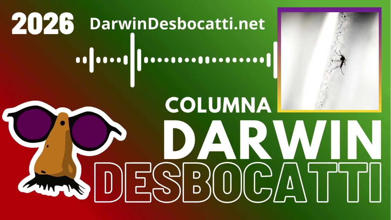 2026-02-09 - El mosquito que desafía los conocimientos de física de Darwin - Darwin Desbocatti