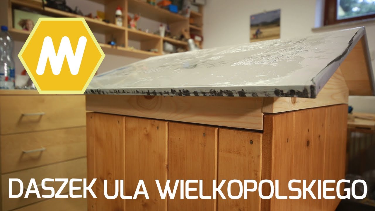 UL korpusowy wielkopolski - daszek