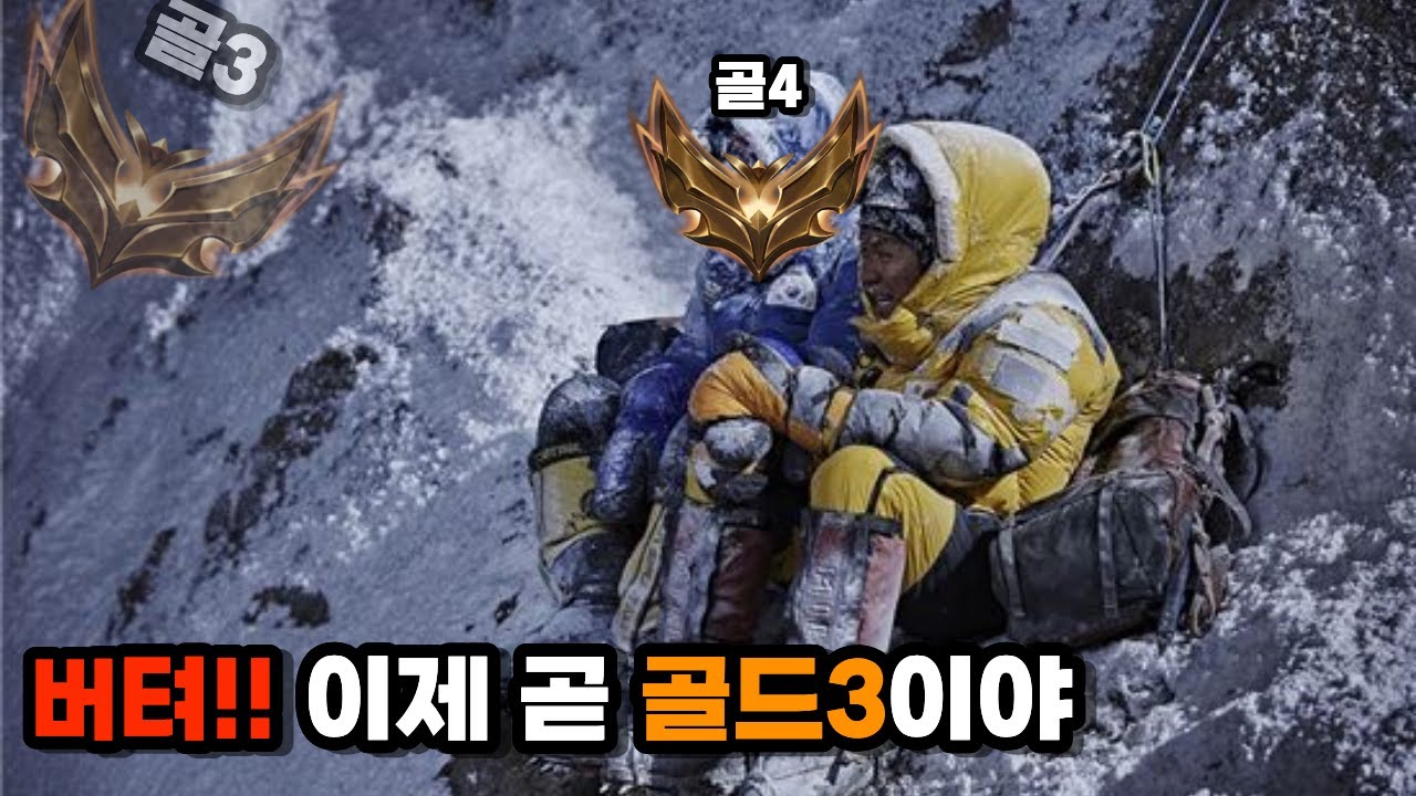 만년 롤체 골드4 수문장 탈출기