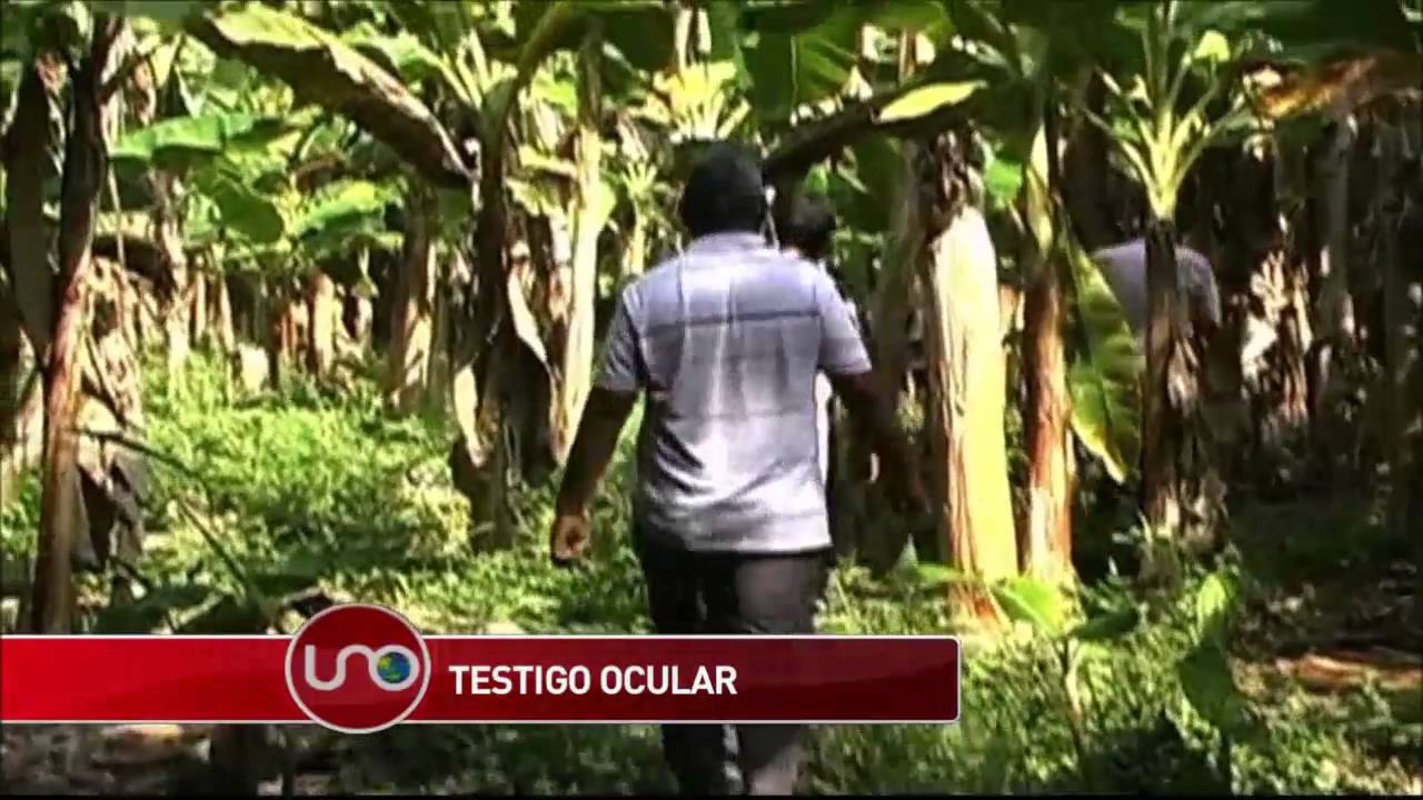 Habla Eunicio Pineda testigo y víctima de secuestro y torturas de 'Los Doce Apóstoles'