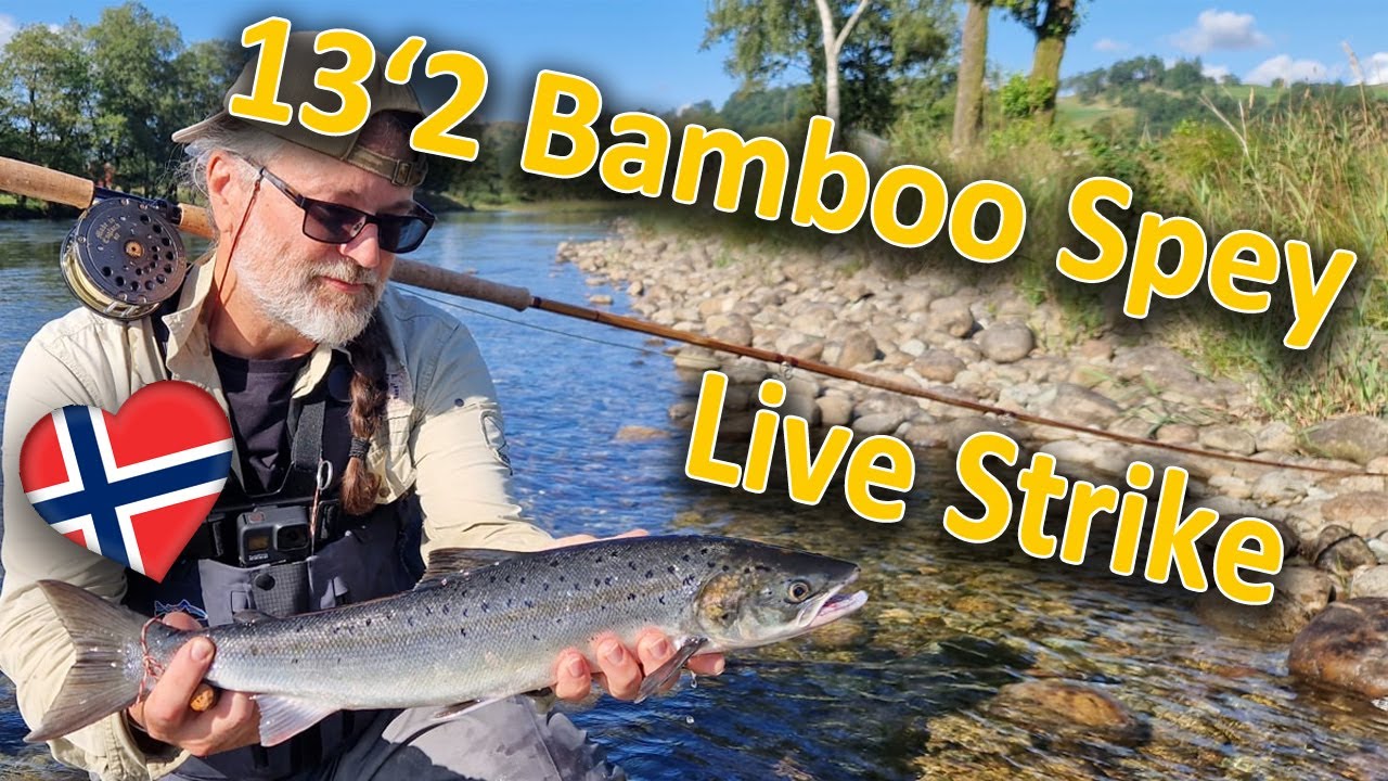 Bamboo Spey Rod 13'2 live strike, uncut, Bjerkreimselva, Norway
