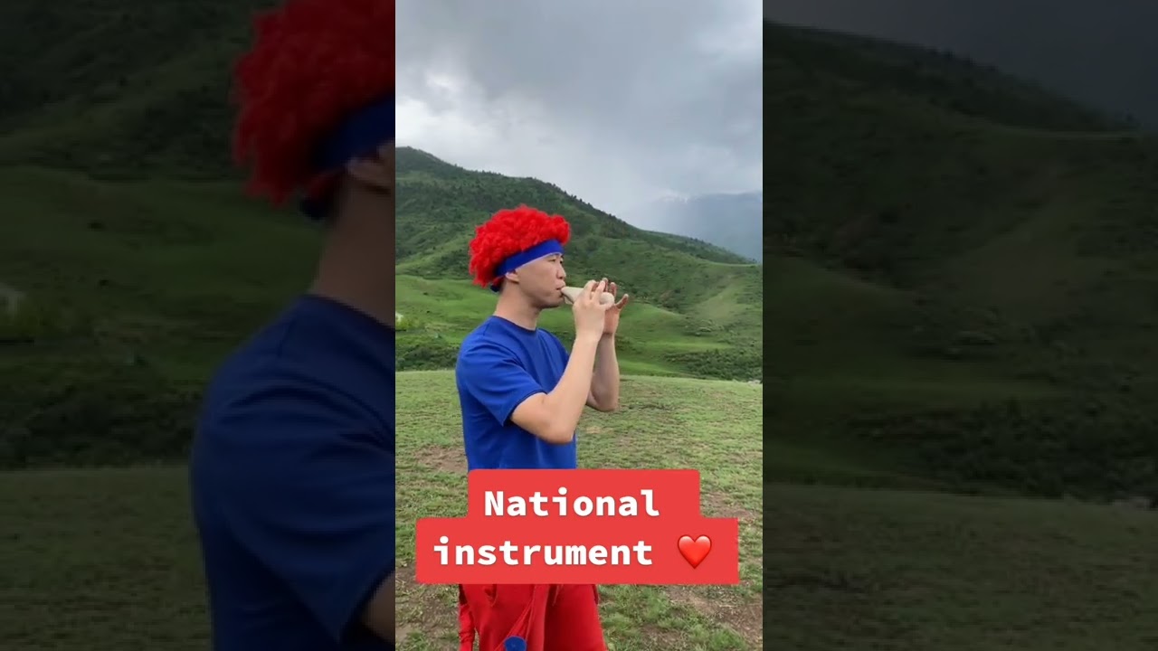 National instrument 'Choor' #shorts