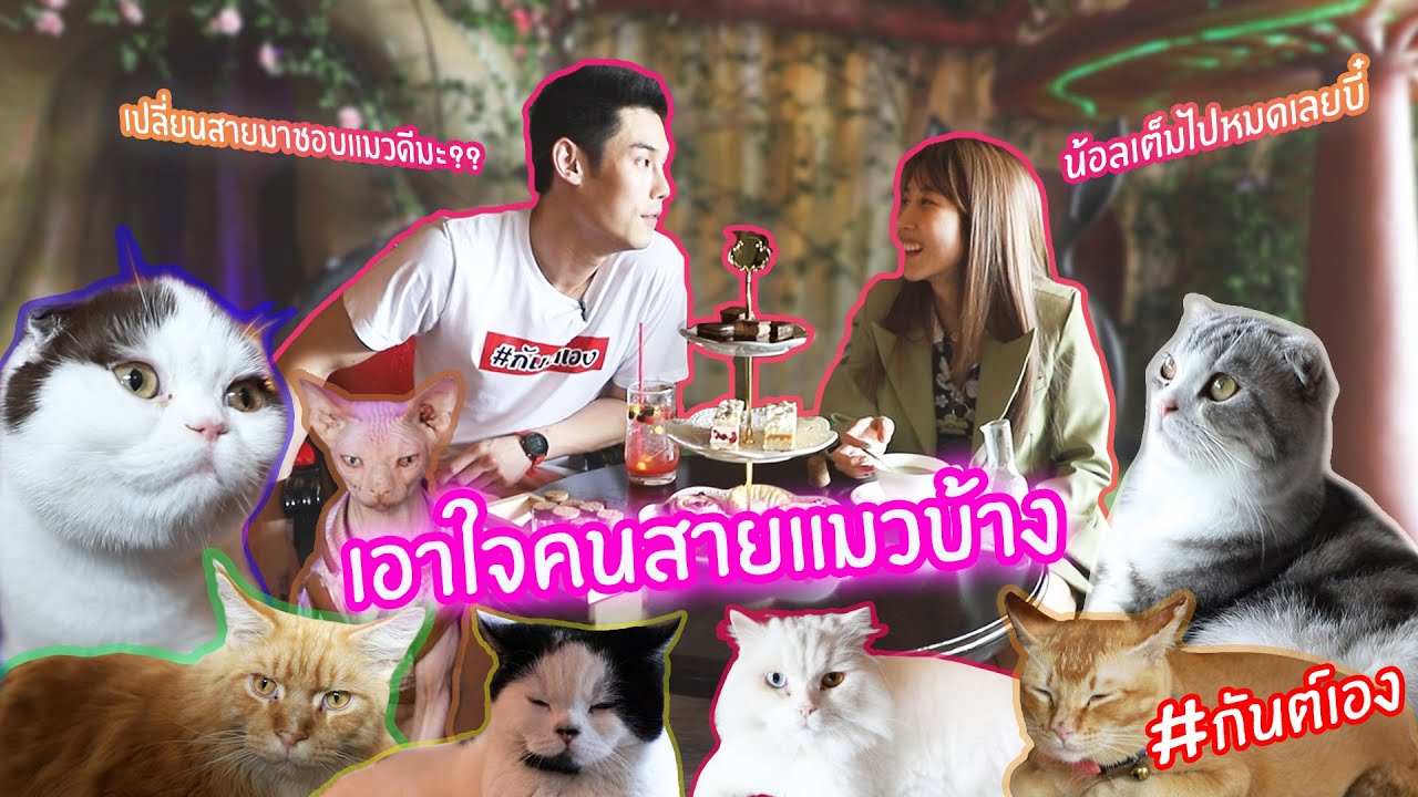กันต์เอง - ที่มาของพลอยสายแมว ก็ว่าทำไมเอาแมวมาเพิ่ม