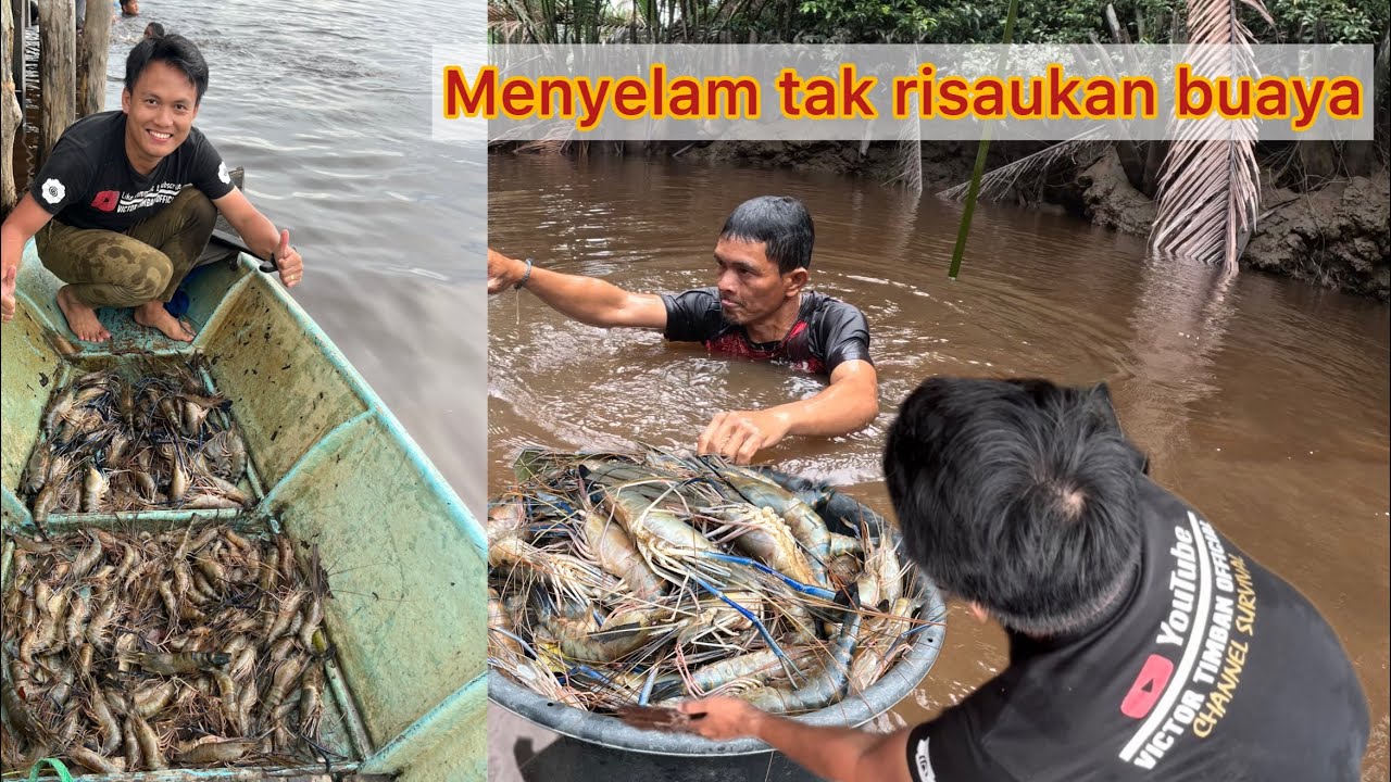 Tidak Risau Buaya Bila Hasil Menjala Penuh Dua Ruang Perahu ( Part 1 )