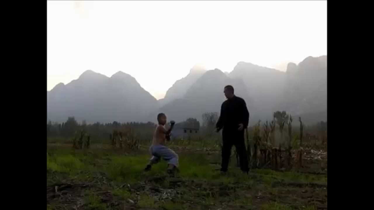 Shaolin Plum flower fist (Meihua Quan) 少林梅花拳